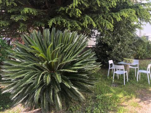 Dimora Scaldaferro Villa Mira Exterior photo